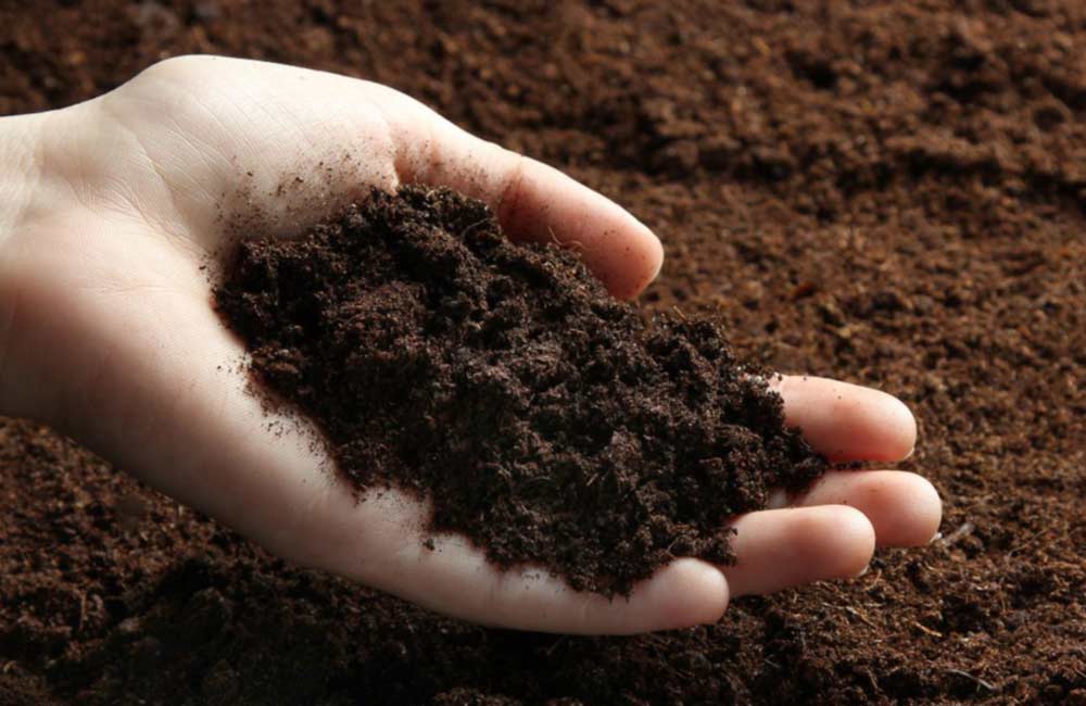 Какую почву любит петуния. Грунт. Грунт растительный. Земля чернозем. Торф чернозем.